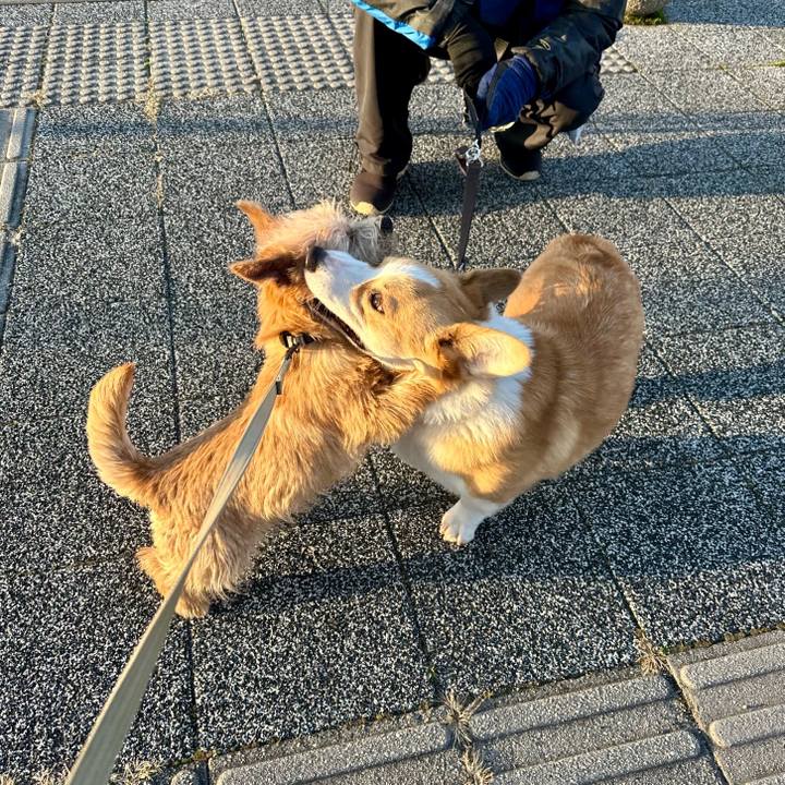 1aa8095a 0c23 4840 b5fe 5e0886b89d21 1709536572453