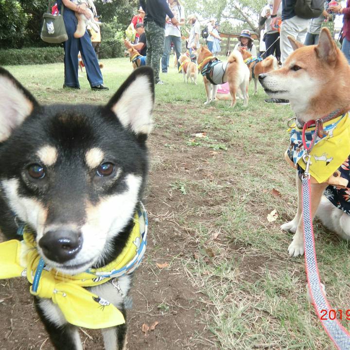 1aa88e9a 8ebb 494f ac64 4b80620a4772 1569685978234