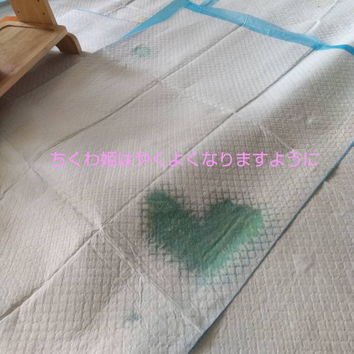 1aa893e5 8e90 493a 9280 22b38a8ce4ae 1711497606112