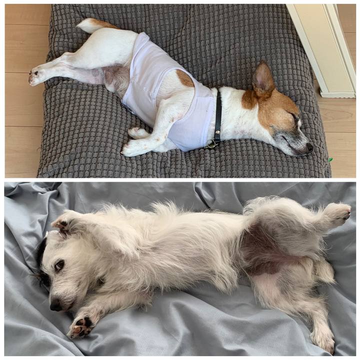 1aa8a879 4393 4226 9c4f 53c317df3db4 1563946060164