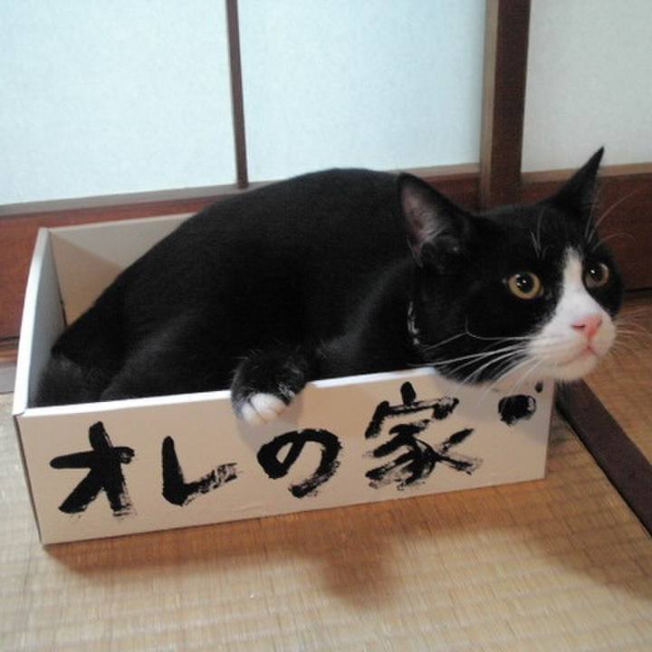 1aa8b54e 6809 4378 8cd7 d010ff194f24 1531662293108