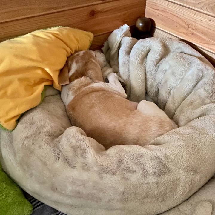 1aa99197 631f 4fe5 8498 a28e950c0543 1593209429676