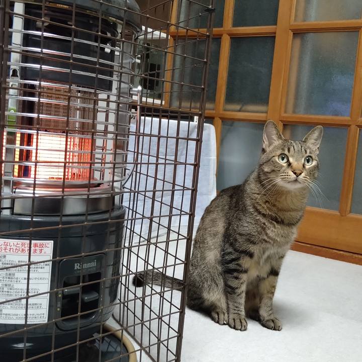 1aa9c18d 5c07 4afa a196 34c22a05a74b 1669973758259