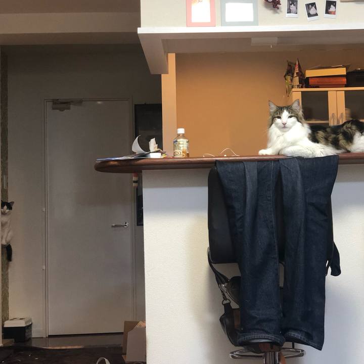 1aa9f47a c45a 4ef3 b33b b3632d852e03 1561382237650