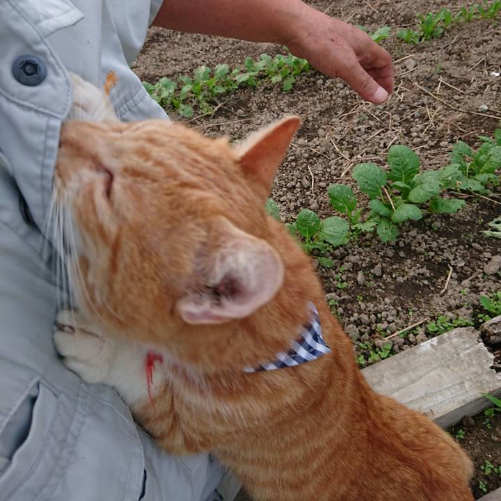 1aaa0038 dd87 4b13 8fc9 349d8d980005 1568795373773