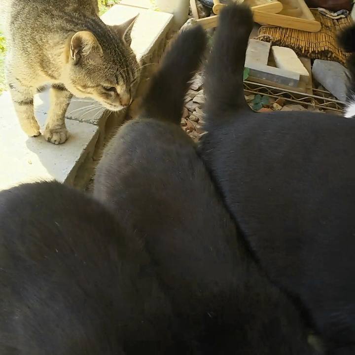 1aaa0fe6 93b2 423f 99f6 9ce989a66a0c 1556945816158