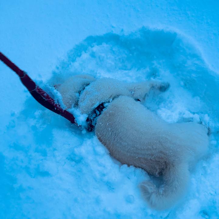 1aaa6c9c 07b0 40a0 b035 ef97b3dfa4aa 1768174261252