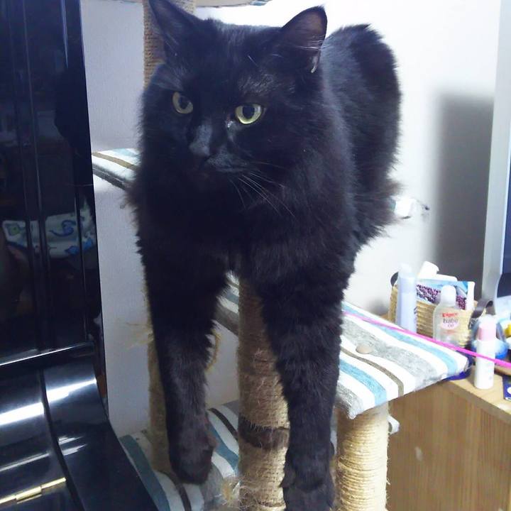 1aaa9db6 54ac 4a48 acb5 207e18176461 1514264427452