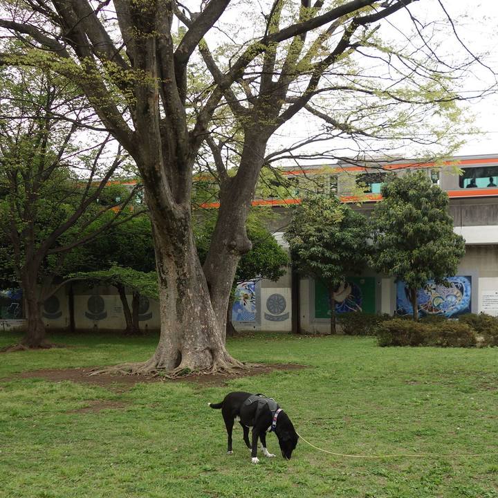 1aaa9e20 a9c5 47e4 bb62 671ca50c64b0 1650244756517