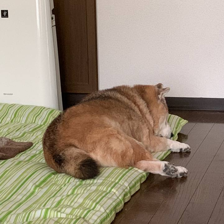 1aaacad1 58a4 4535 97c3 382be298017a 1651444516595