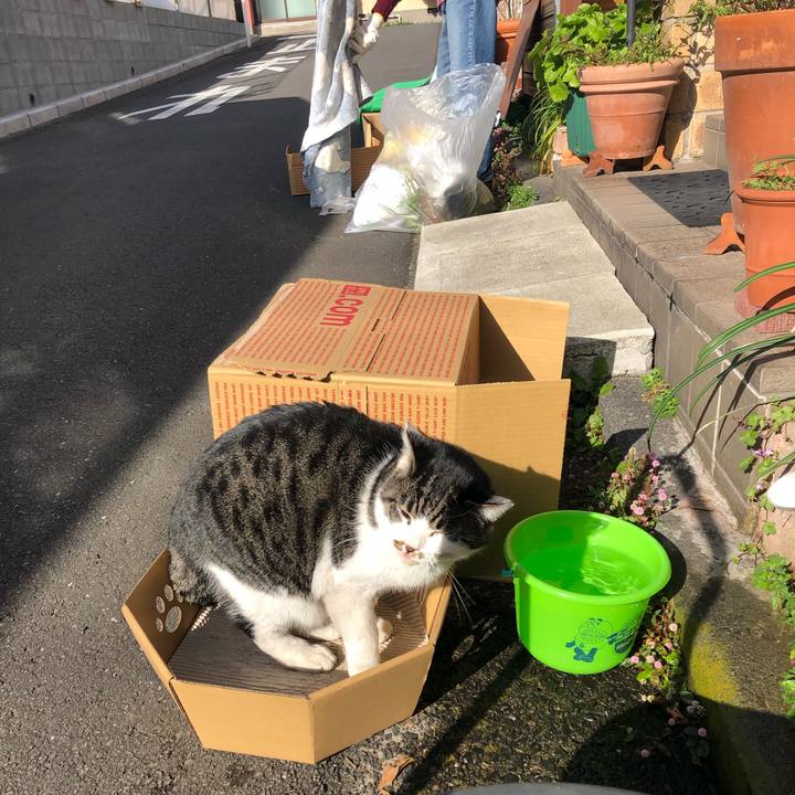 1aab0196 2451 4477 b16b 432b4a7c0b96 1544853209371