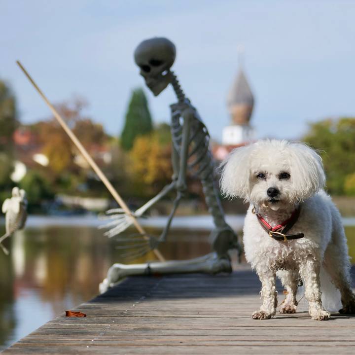 1aab3b8a b5b6 4c4c 9b70 636880cc3430 1761919601268