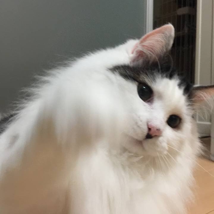 1aab3ca1 5298 4c79 af3e 70ac22245239 1518186554141