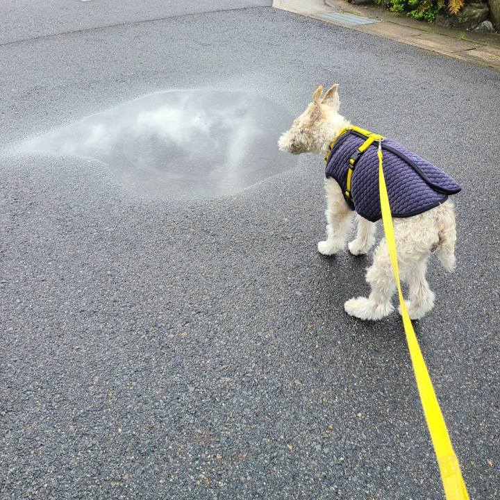 1aab4038 ebc1 4102 90e1 7f25da61a012 1714540096426