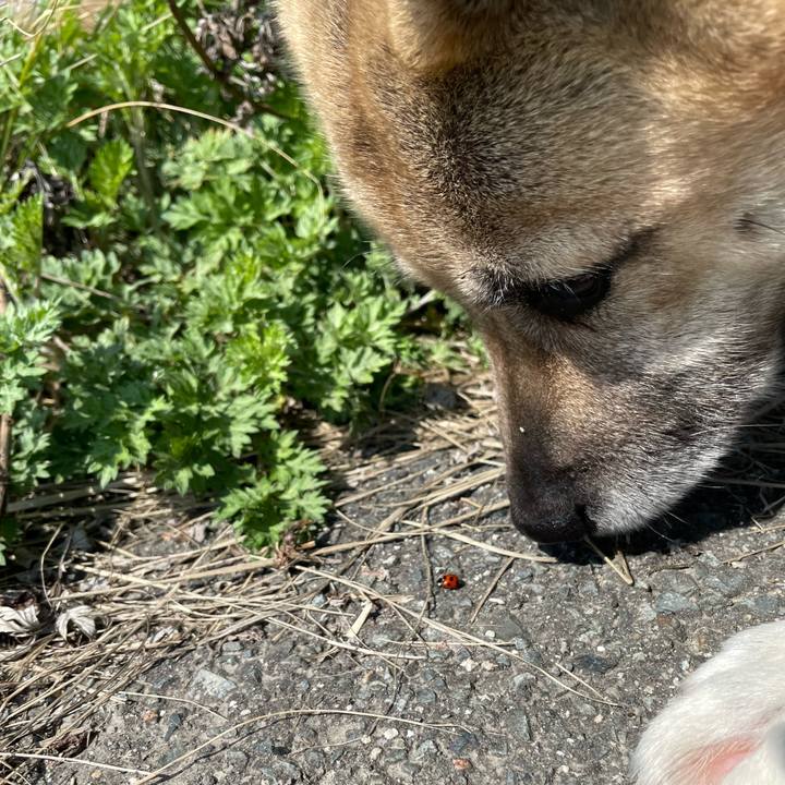 1aaba874 80b4 435b 9df4 23de28ac4796 1679230504797