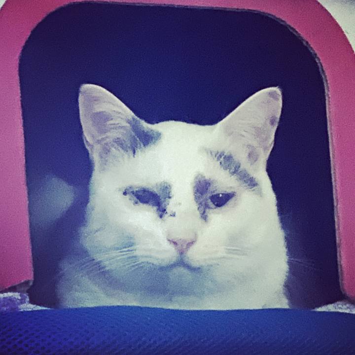 1aabc52b 3ba2 4b0d ba5a 7fd1f1fc9303 1644241253444