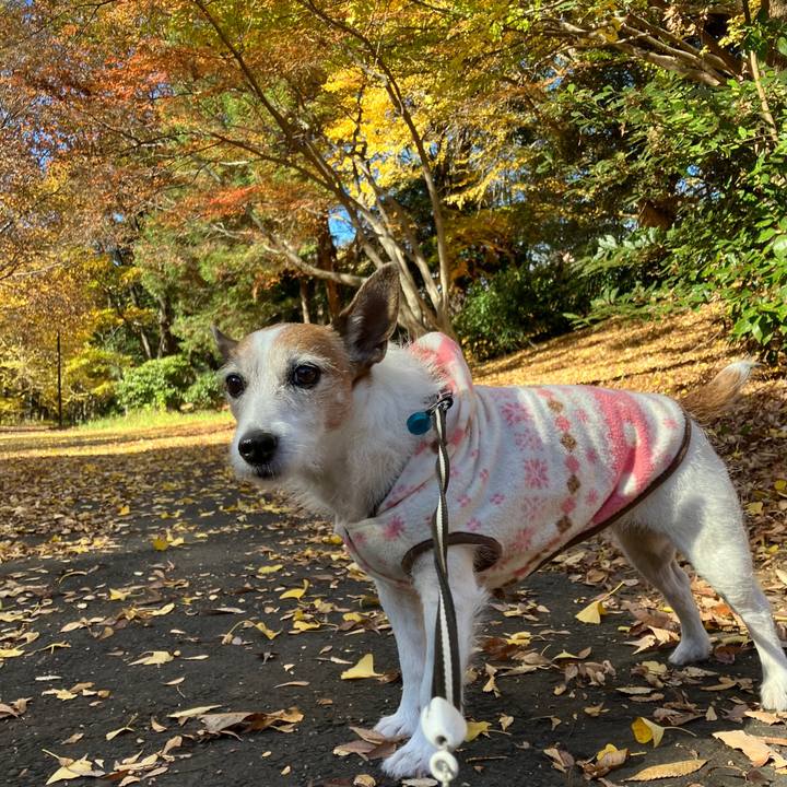 1aabcab0 fee8 42cb a949 f204b9f897c5 1701818852781