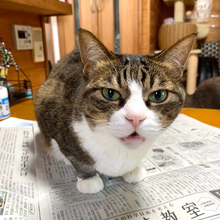 1aabf277 7b55 4cc6 83dd ba6389d3f826 1591316216301