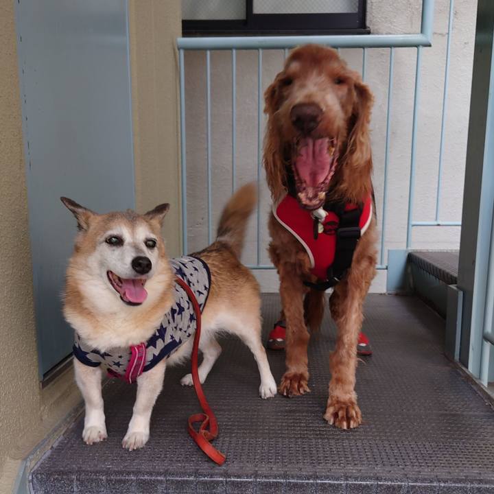 1aac07d6 3dda 40bb 9499 d2402ffb1702 1714394254468