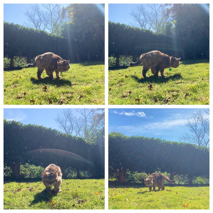 1aac10e8 6781 4b47 9c38 f9e93e25f2e5 1635902589830