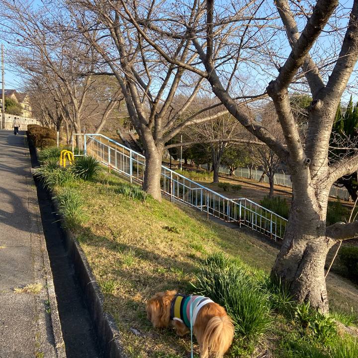 1aac3b88 6963 4600 8130 c49851f6b8e5 1616021821402