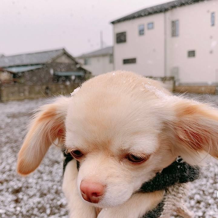 1aac50a4 fa63 403b aabe 161393b19ab2 1611812362377