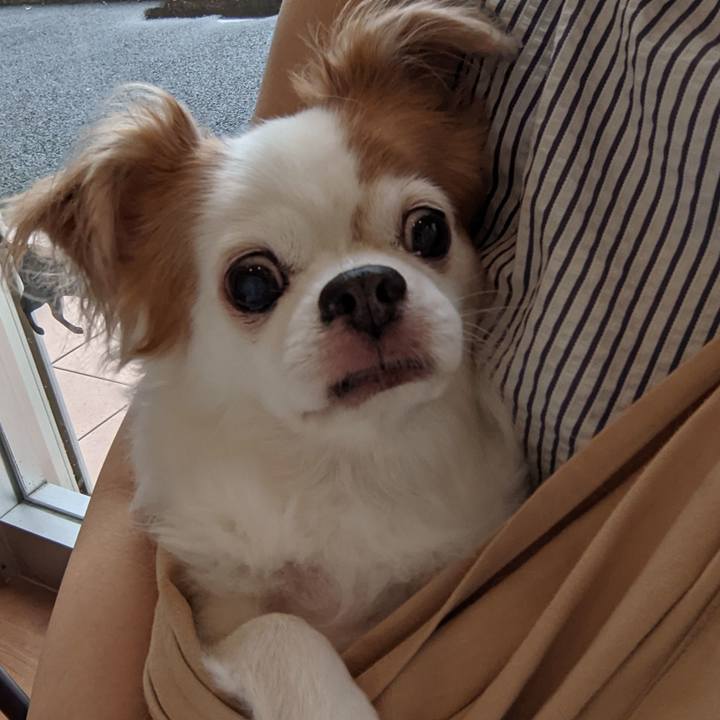 1aac6811 b96a 4edc 9236 0956bed68d21 1631970698355