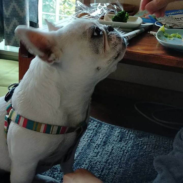 1aac8595 b0af 4bb7 868f 01d2f31fd953 1652914887886