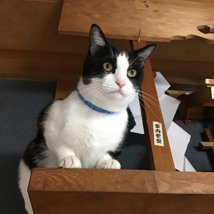 1aac9e3d 6075 49c3 80f8 d111cab210cc 1696842759933