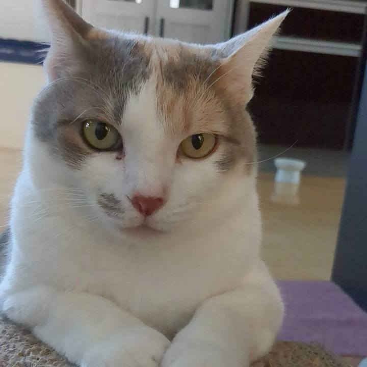 1aacba58 a337 4f89 a549 11c4f438677d 1684986438246