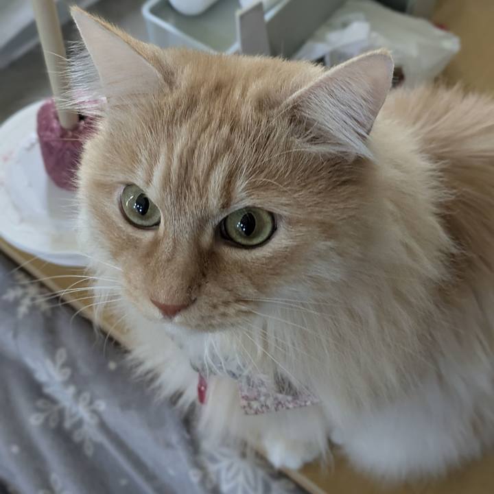 1aacde19 96e8 4071 8439 c8f9d1cc949e 1772935628371