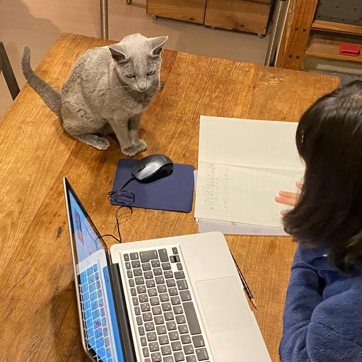 1aaced0a 4732 467b 9756 634b334d5ee1 1582118412056