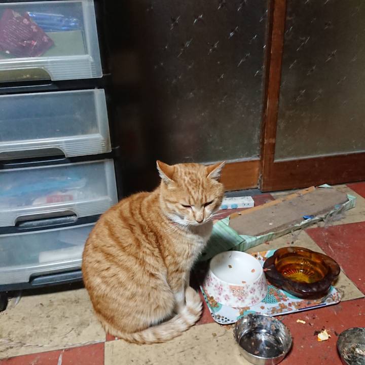 1aacf1a9 7e9b 4594 abe0 f427a877dfd9 1579722455181