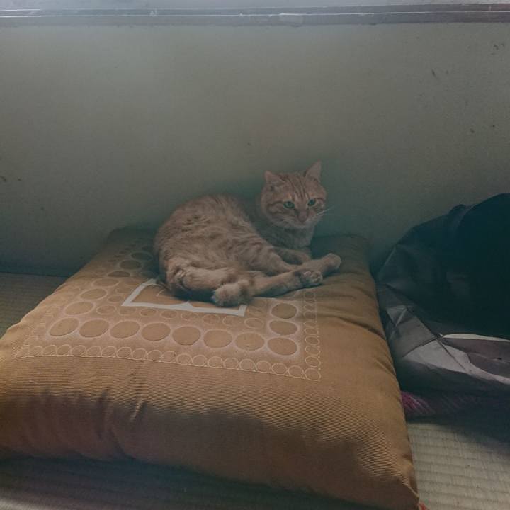 1aad9111 d634 449a af4a 379515e445ce 1661939914234