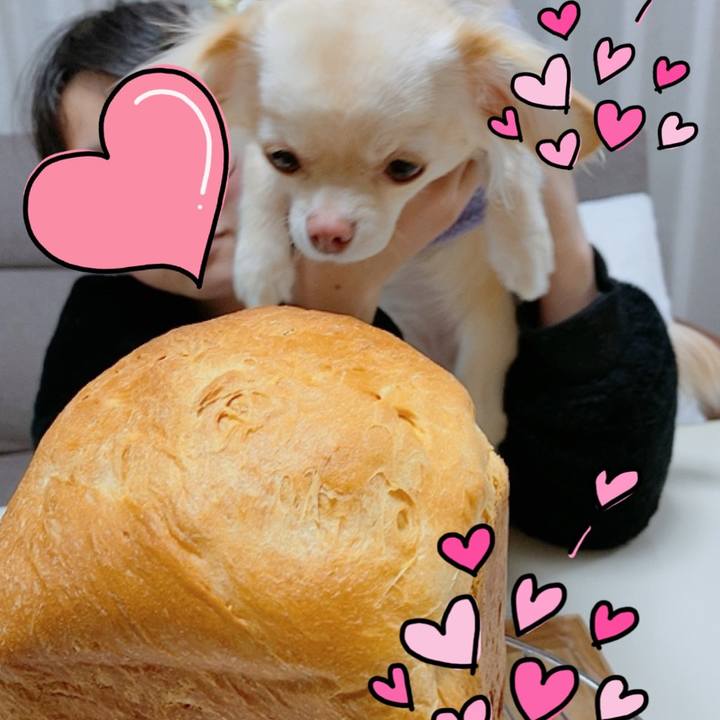 1aadafa1 2ae7 4bde b4fd 82ba32336a6a 1612521680941