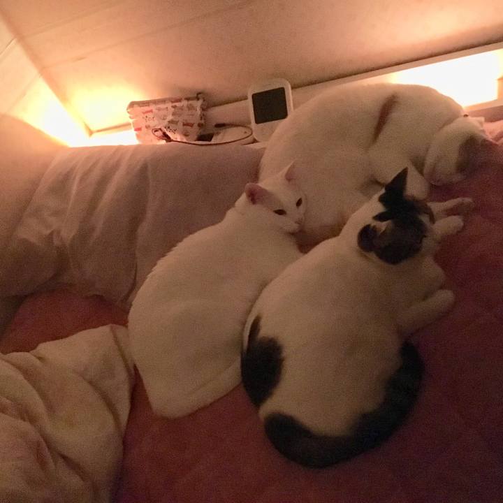 1aadb09f 32a7 4d27 b1ad 52502ddb804b 1515337968849