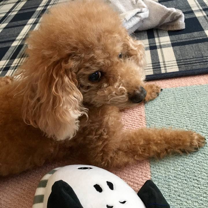 1aadbcb7 7ec6 4c74 b2c0 f91a934a7a12 1511235060715