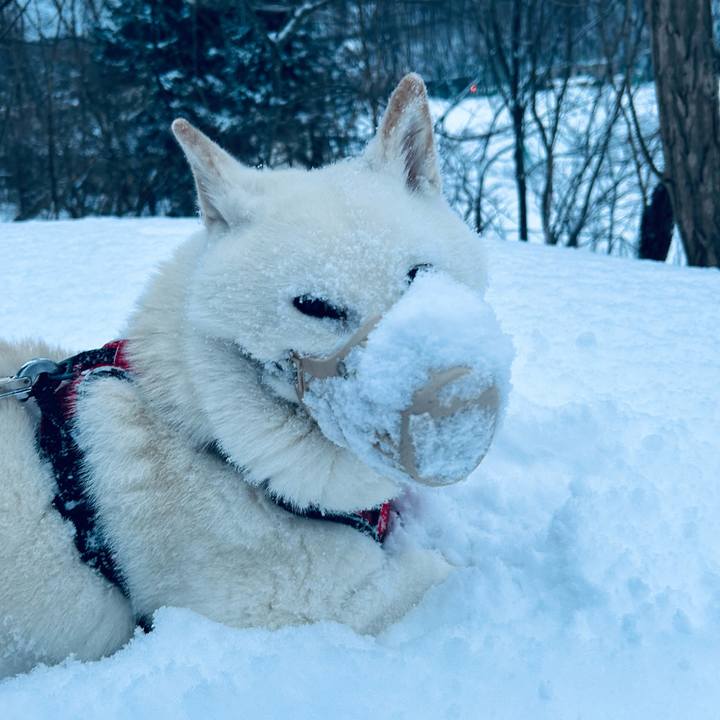 1aadd344 3bf6 4118 9253 2194d63ef0b5 1768774686659