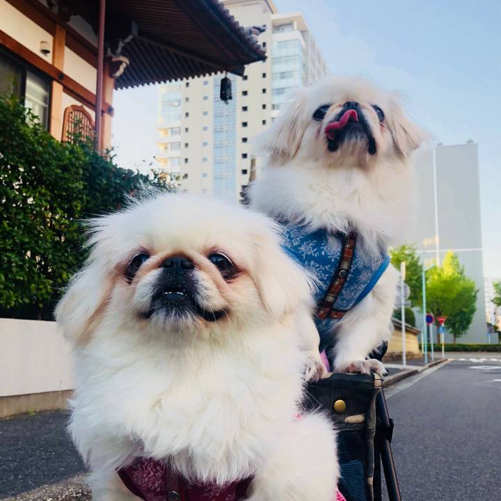 1aadd4fd 6b54 4e34 9a8a 78fa796d8943 1570660637675