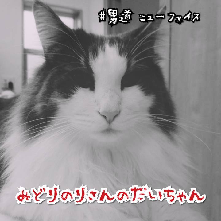 1aadeccb 87f0 4281 993a f6d79cf914d4 1566383245394