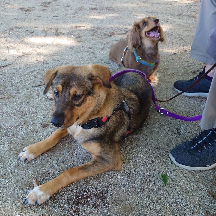 1aae49ae 9b39 4db8 9cb7 09a5dde5332d 1688254856346