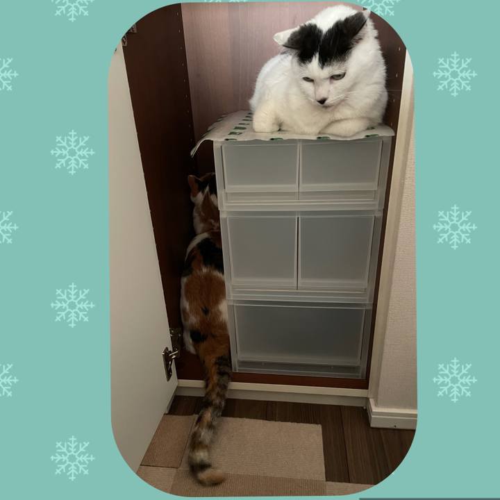 1aae6600 d755 4322 baf7 c74871dad39f 1606029441947