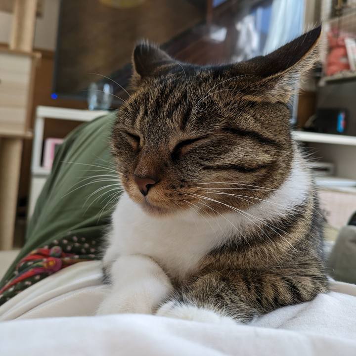 1aae66eb 83aa 490a 91d0 585c146f1803 1697584783985