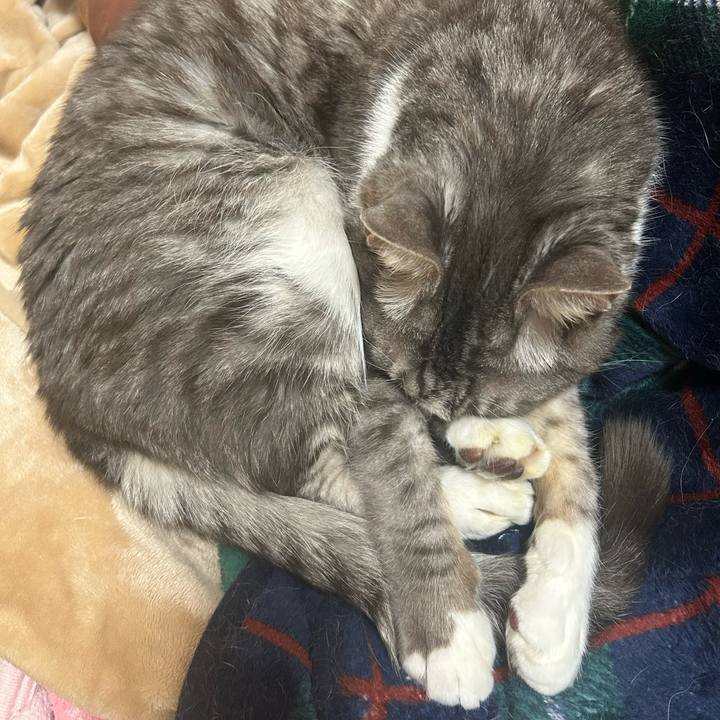 1aaf0425 7679 45da af50 10f29254193b 1764042827834