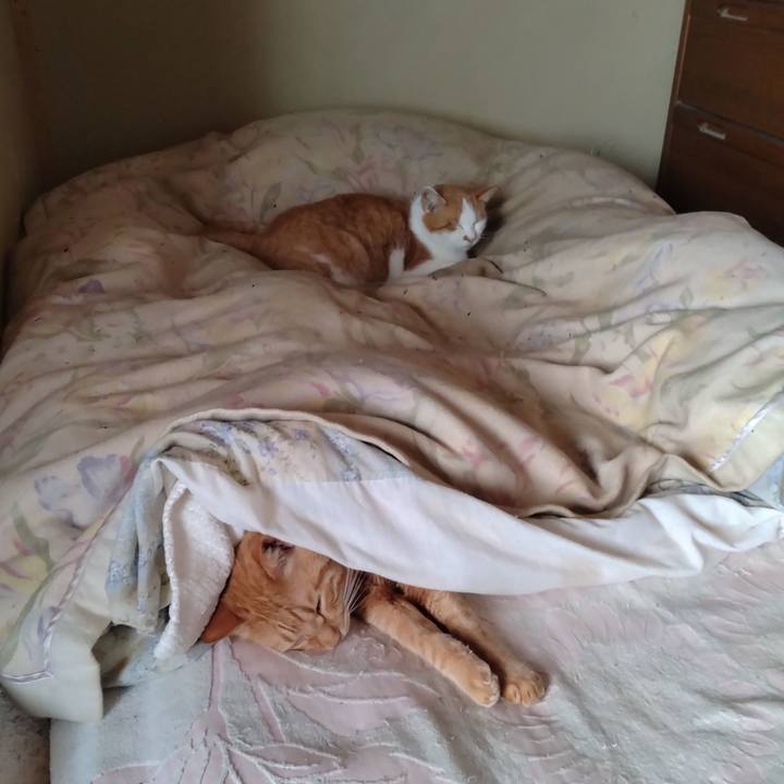 1aaf09b2 811a 442d 9af0 08b20f4938e8 1764827733058