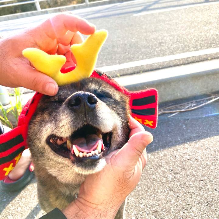 1aaf29e6 ef87 4f2a a1ae 533bb760f008 1620398254810