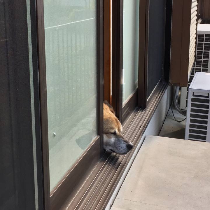 1aaf5185 5c35 4c44 b089 3a3c9f44e163 1586603325951