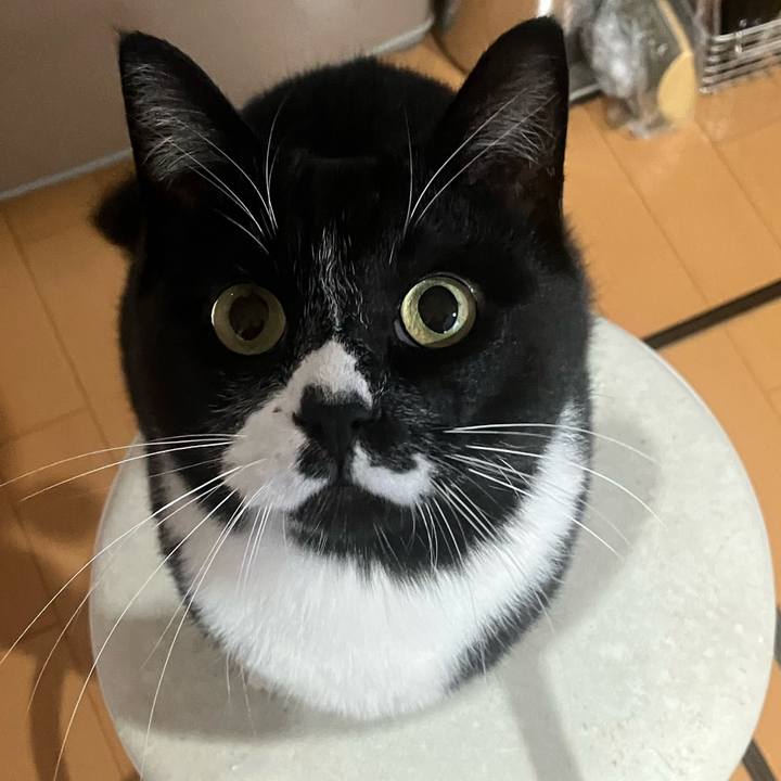 1aaf605c f273 4657 8a42 88c827118bc7 1741663987885