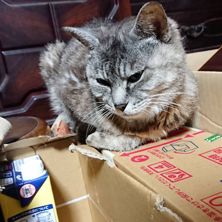 1aaf7572 f32c 467e 80e3 7c09da145b1b 1567543722893