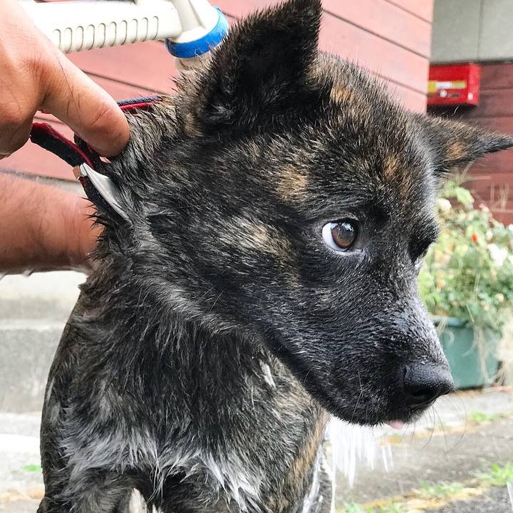 1aafb084 8b0f 49bf 82a1 5bc17c603f8f 1534327871773